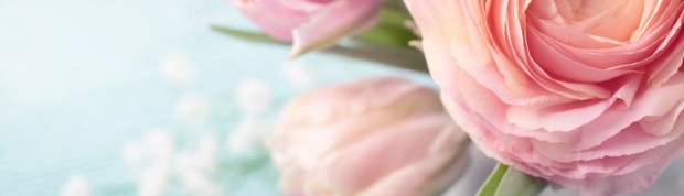 shutterstock_96876382 copy